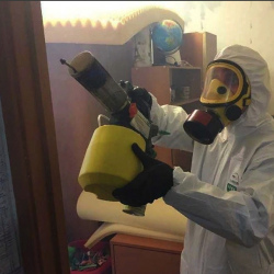 Уничтожение клопов в квартире. Колчаново